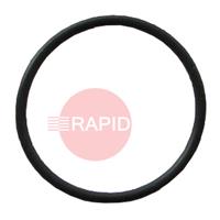 42,0402,0317 Fronius - O-ring Iø20x1.3 FKM